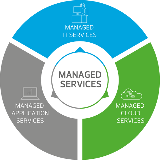 MANAGED IT SERVICES - SKY Networks